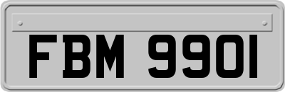 FBM9901