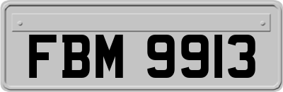 FBM9913