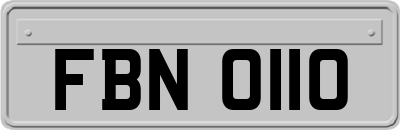 FBN0110