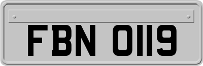 FBN0119