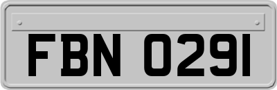 FBN0291