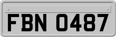 FBN0487