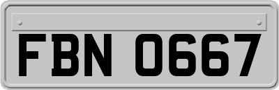 FBN0667
