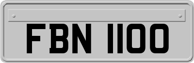FBN1100