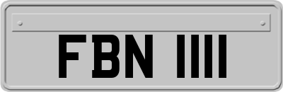 FBN1111