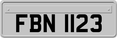 FBN1123