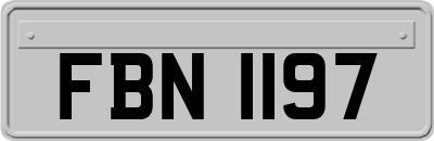 FBN1197