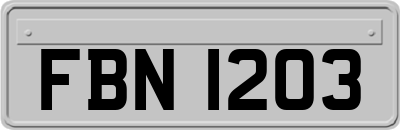 FBN1203