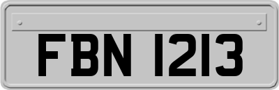 FBN1213