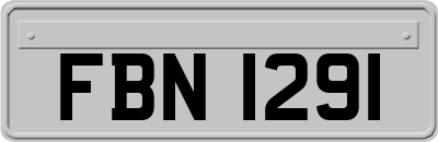 FBN1291