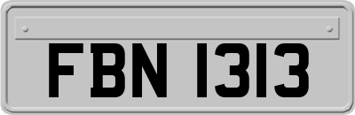 FBN1313