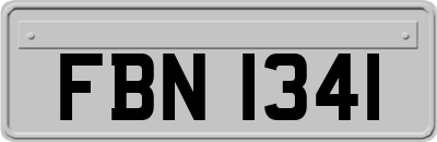 FBN1341