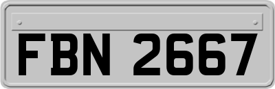 FBN2667