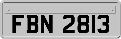 FBN2813