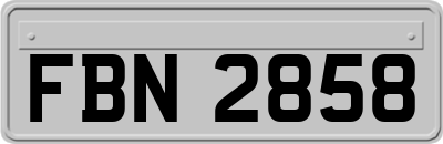 FBN2858