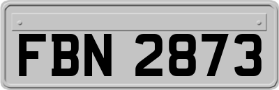 FBN2873