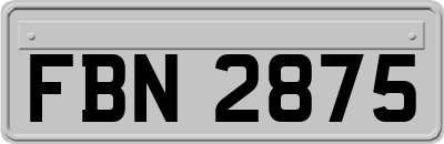 FBN2875