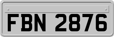 FBN2876