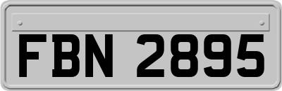 FBN2895