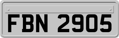 FBN2905