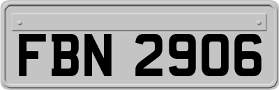 FBN2906