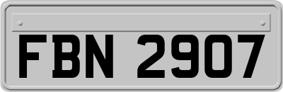FBN2907