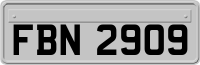 FBN2909