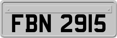 FBN2915