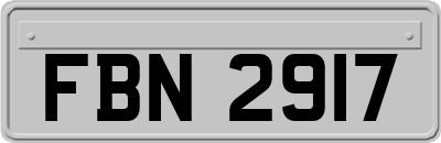 FBN2917
