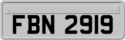 FBN2919