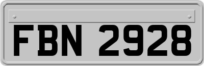 FBN2928