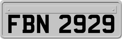 FBN2929