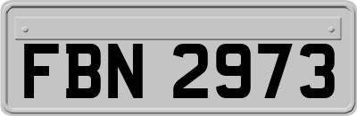 FBN2973