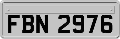 FBN2976