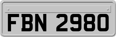 FBN2980