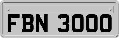 FBN3000