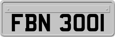 FBN3001