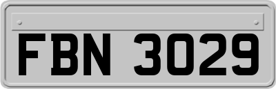 FBN3029