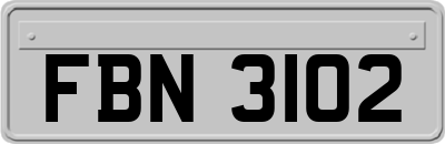 FBN3102