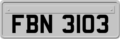FBN3103