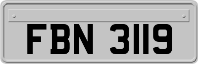 FBN3119