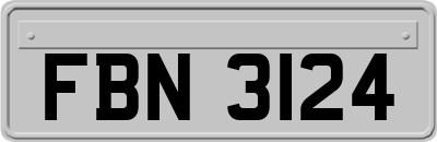 FBN3124