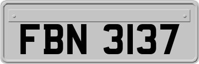 FBN3137