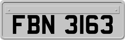 FBN3163