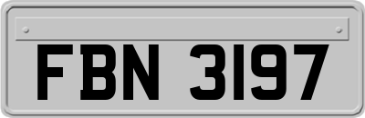 FBN3197