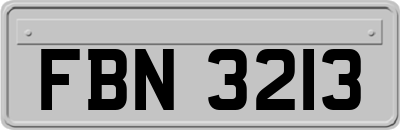 FBN3213