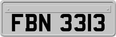 FBN3313