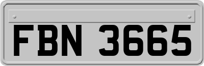 FBN3665