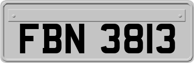 FBN3813