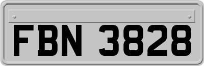FBN3828